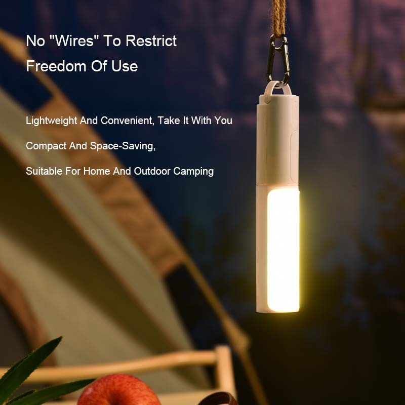 Motion Sensor Light