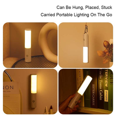 Motion Sensor Light