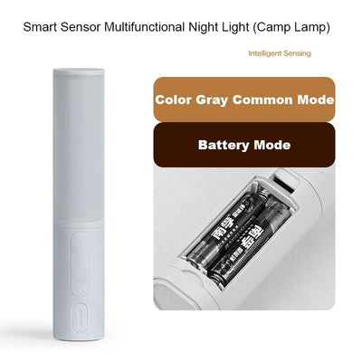 Motion Sensor Light