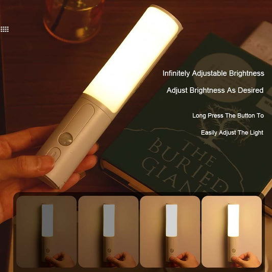 Motion Sensor Light