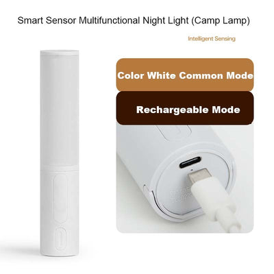 Motion Sensor Light
