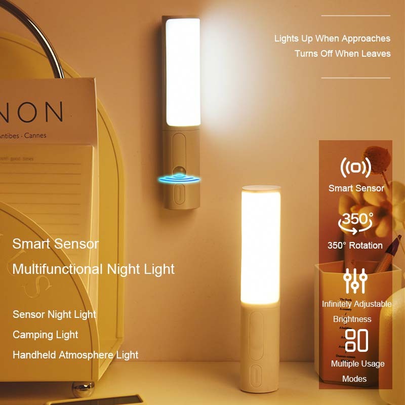 Motion Sensor Light